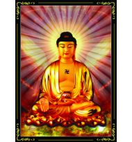 Tranh A DI ĐÀ PHẬT - Tranh in ép gỗ , in trên vải canvas , in trên Phim , in PiPi...nhiều kích thước