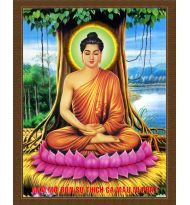 Tranh in ép gỗ , in trên vải canvas , in trên Phim , in PiPi...nhiều kích thước...xin Quí Khách vui 