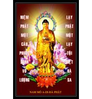 Tranh A DI ĐÀ PHẬT - Tranh in ép gỗ , in trên vải canvas , in trên Phim , in PiPi...nhiều kích thước