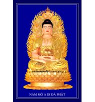 Tranh A DI ĐÀ PHẬT - Tranh in ép gỗ , in trên vải canvas , in trên Phim , in PiPi...nhiều kích thước