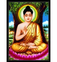 Bổn Sư Thích Ca Mâu Ni Phật