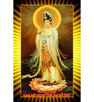 in tranh ép gỗ , in Pipi , in vải canvas , in phim...nhiều kích thước. Xin quý khách vui lòng ĐT để 