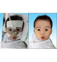 Hình cắt ghép khó [20x25] giá 500.000 chưa khung