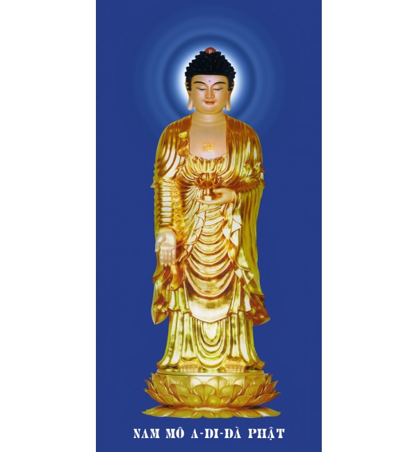 Tranh A DI ĐÀ PHẬT - Tranh in ép gỗ , in trên vải canvas , in trên Phim , in PiPi...nhiều kích thước